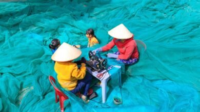 fishing family s business innovation