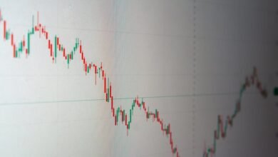 hunting nomadism market trends