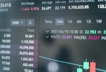 insights and facts revealed