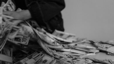 melorubia2 s economic insights unveiled