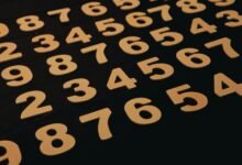 number sequence analysis revealed