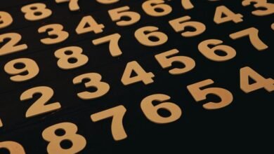 number sequence analysis revealed