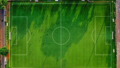 identifier activity overview list