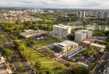 multi region identifier report