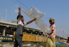 activity snapshot of ids