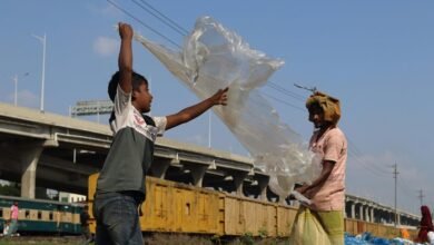 activity snapshot of ids