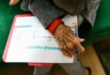 advanced review portfolio details