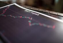 comprehensive insight on identifiers