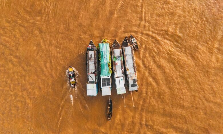 market activity summary report